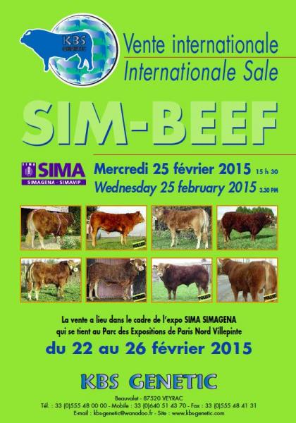 SIM-BEEF 2015