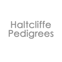 Haltclife-pedigrees