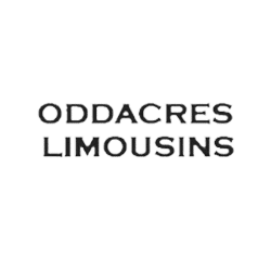 oddacres-limousine