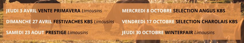 BANDEAU VENTES 2025(2)