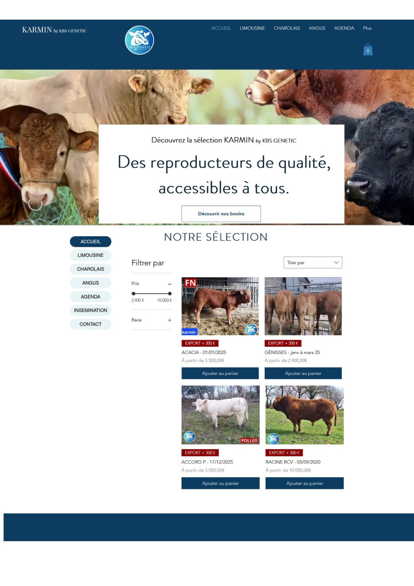 Design sans titre(13)