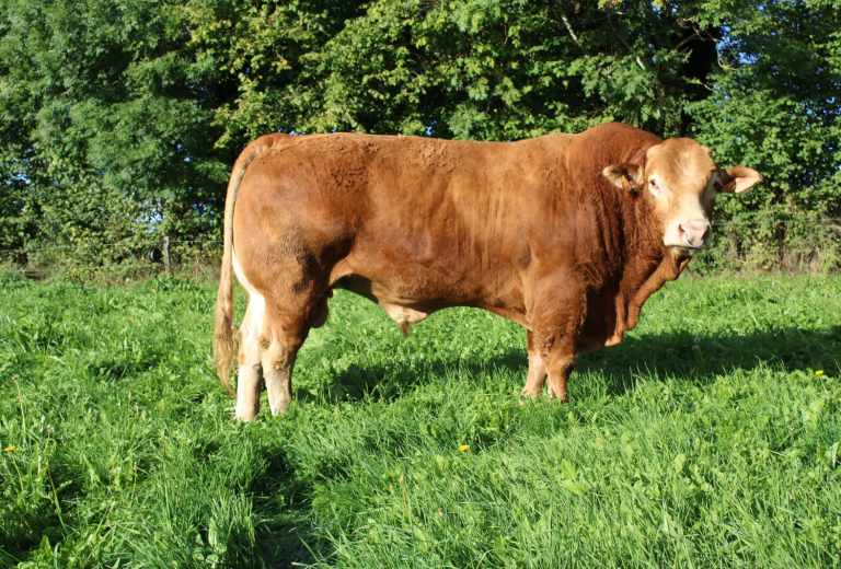 WhatsApp Image 2026-01-08 at 09.23.36