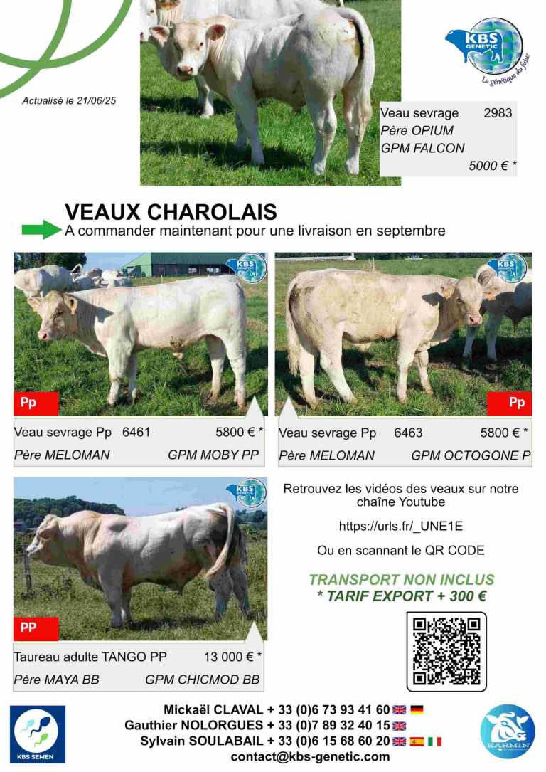 FLYER CHAROLAIS