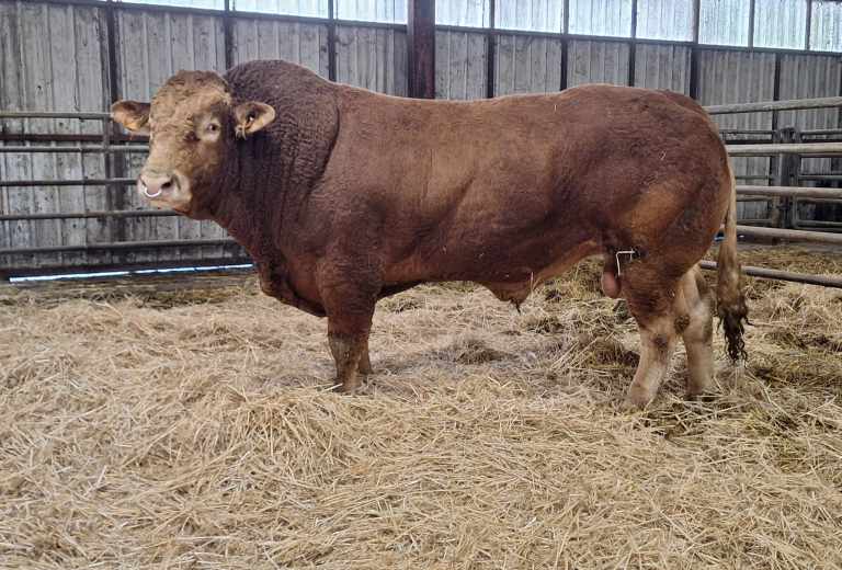 WhatsApp Image 2026-01-08 at 09.29.20