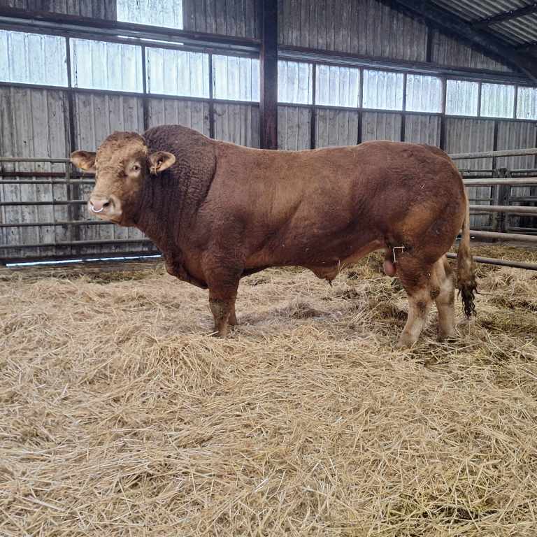 WhatsApp Image 2026-01-08 at 09.29.20