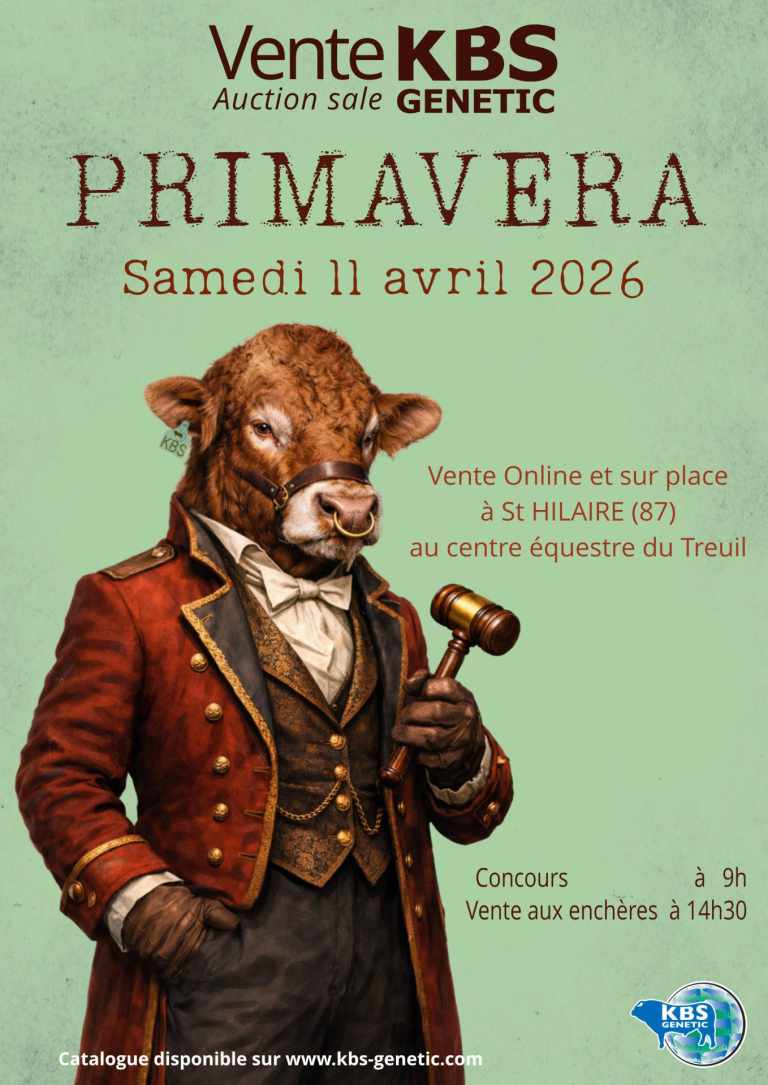 CATALOGUE PRIMAVERA