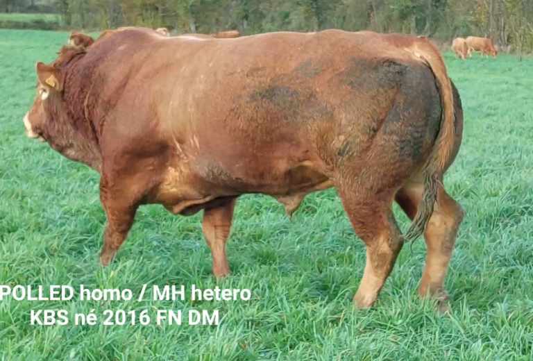 VideoCapture_20221213-184103