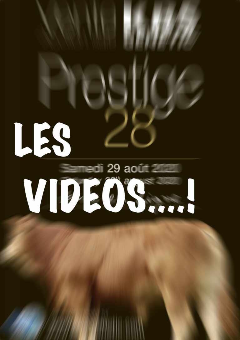 LES VIDEOS