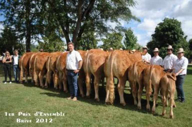 109-brive2012-prixensemble11