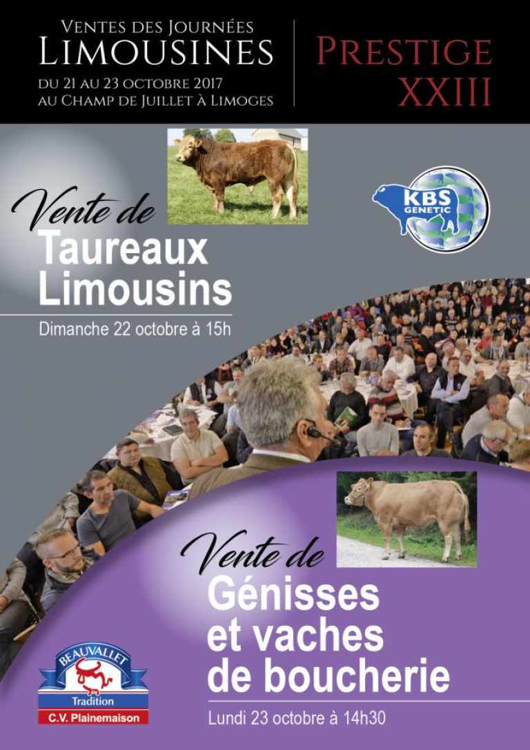 JOURNÉES LIMOUSINES: LE ASTE