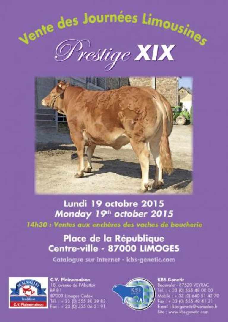 CATALOGUE VENTE PRESTIGE XIX