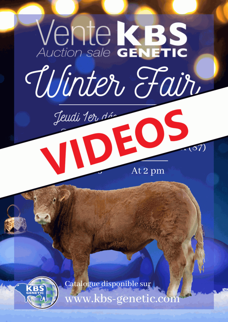 Winter Fair- videos