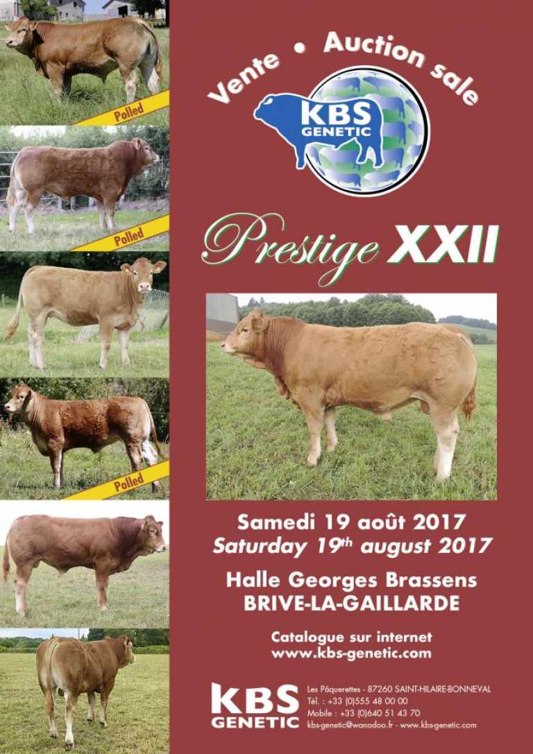 PRESTIGE XXII: IL CATALOGO