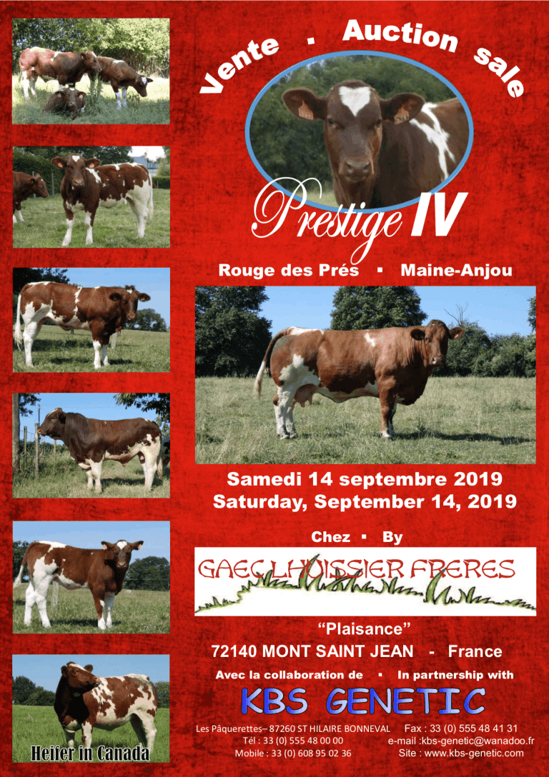 Schermata 2019-07-19 alle 15.47.52