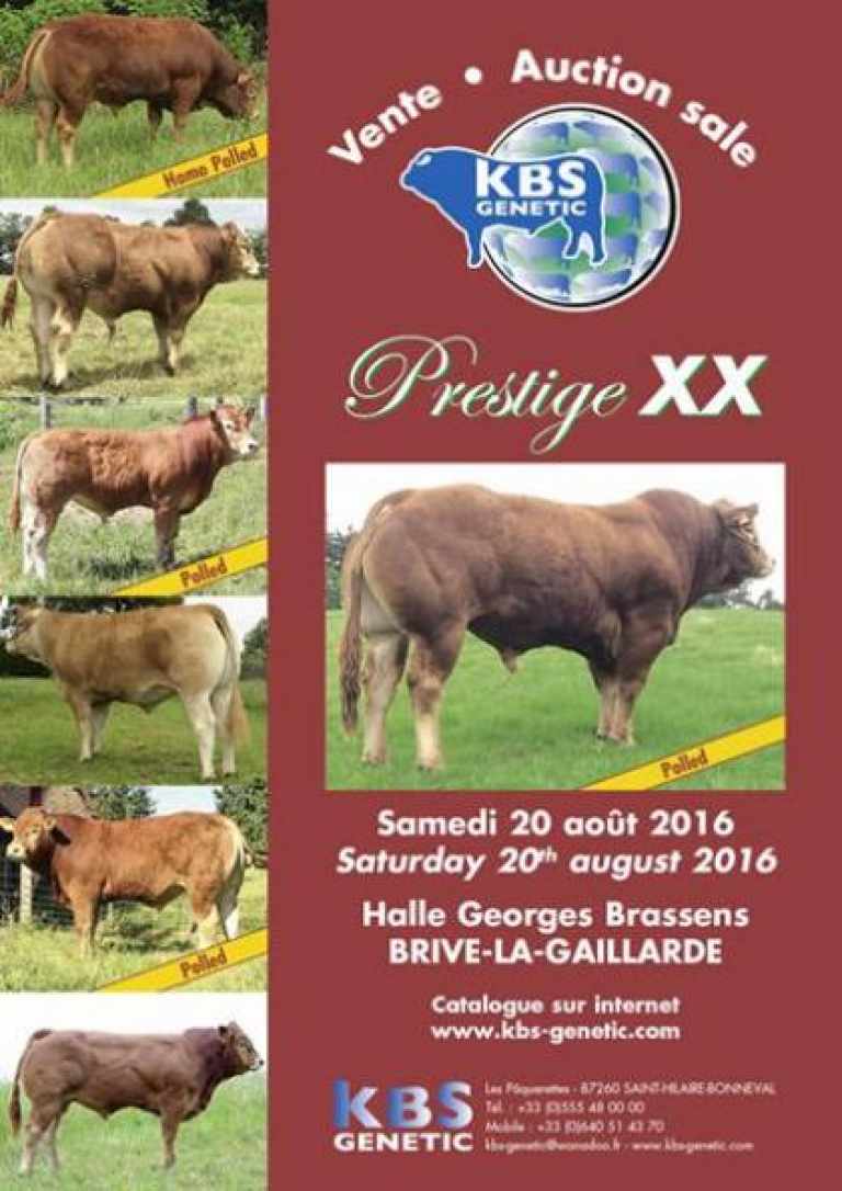 201-kbs-prestige-xx-couv-petite