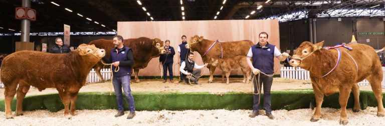 5F60D90B-6DDD-45F5-B91A-E38645FEE6A1