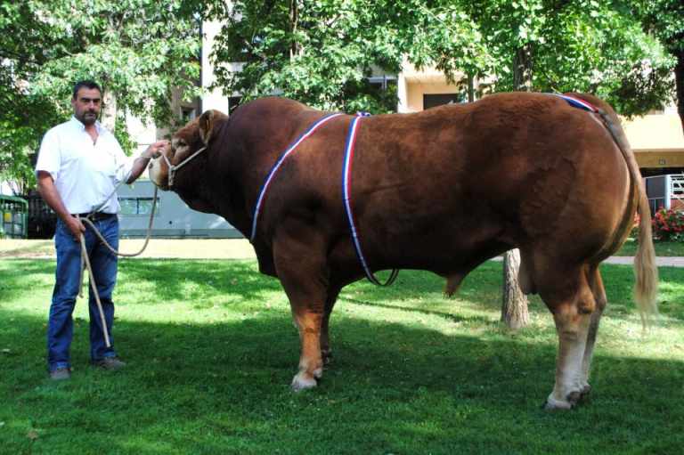 176-brive2011-prixchampionnatbonux2