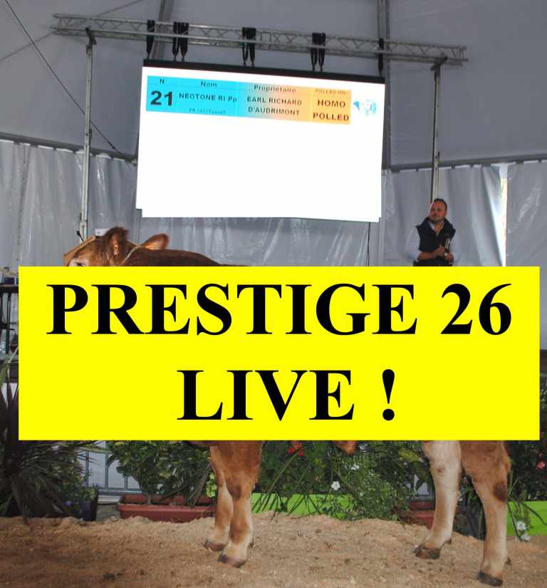 PrestigeXXIV-Lot21(Richard)2
