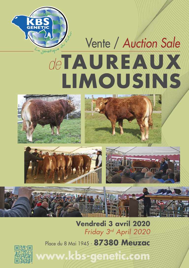 Vente_TaurauxLimousin2020-MR