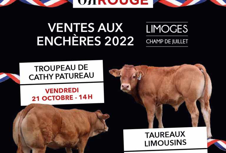 CX00016-Catalogue 2022-Cheptel-Patureau-et-taureau-web-3_page-0001