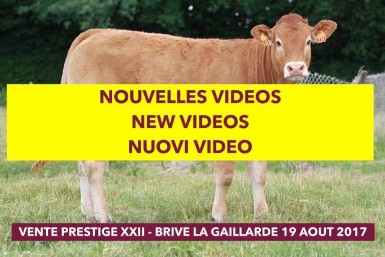 PRESTIGE XXII: I VIDEO DEI RIPRODUTTORI ALL'ASTA